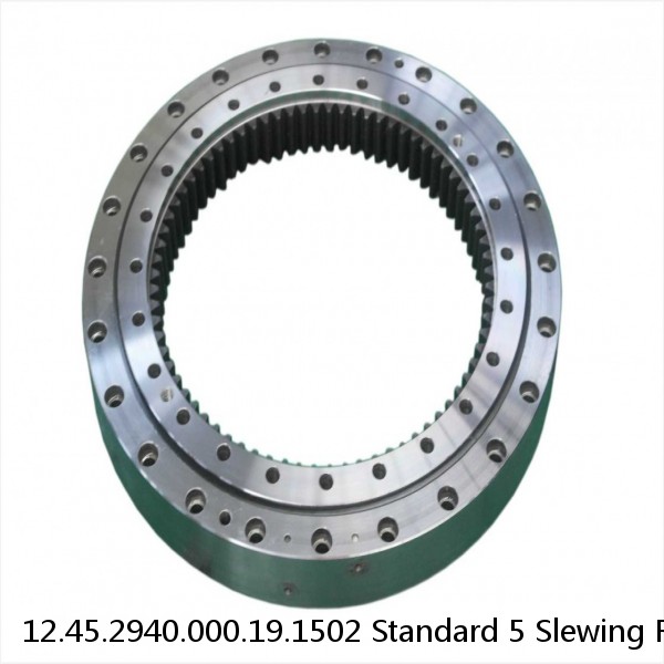 12.45.2940.000.19.1502 Standard 5 Slewing Ring Bearings