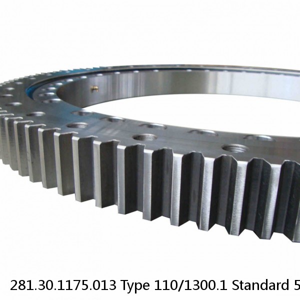 281.30.1175.013 Type 110/1300.1 Standard 5 Slewing Ring Bearings