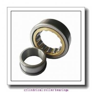 FAG NU219-E-M1-C3  Cylindrical Roller Bearings