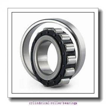 40 mm x 90 mm x 23 mm  FAG NU308-E-TVP2  Cylindrical Roller Bearings