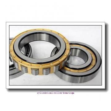 FAG NU2316-E-M1-C3  Cylindrical Roller Bearings