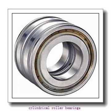 7.087 Inch | 180 Millimeter x 12.598 Inch | 320 Millimeter x 2.047 Inch | 52 Millimeter  ROLLWAY BEARING MUL-236-007  Cylindrical Roller Bearings