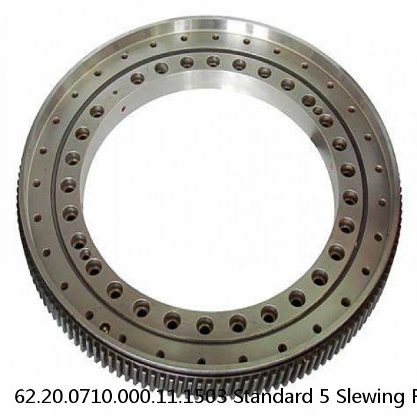 62.20.0710.000.11.1503 Standard 5 Slewing Ring Bearings