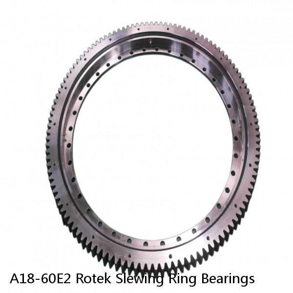 A18-60E2 Rotek Slewing Ring Bearings