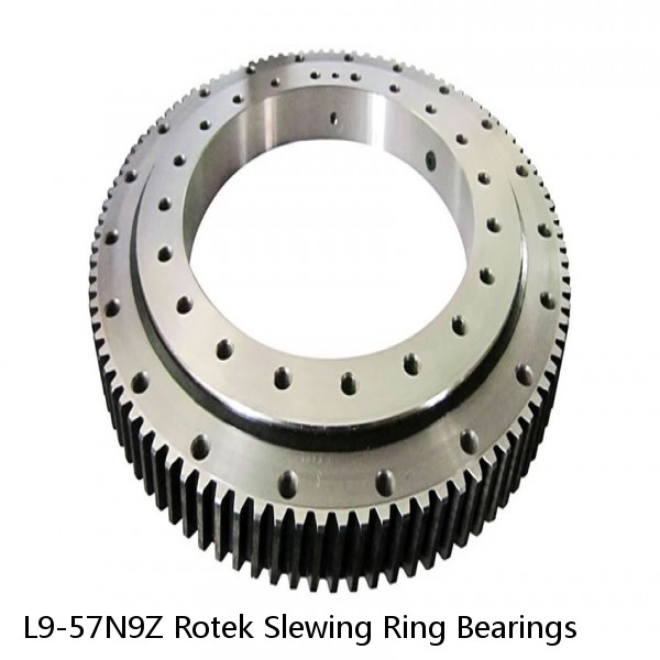 L9-57N9Z Rotek Slewing Ring Bearings