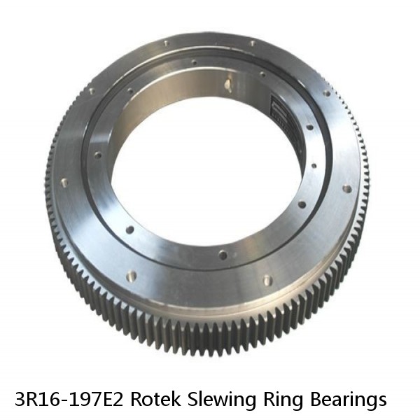 3R16-197E2 Rotek Slewing Ring Bearings