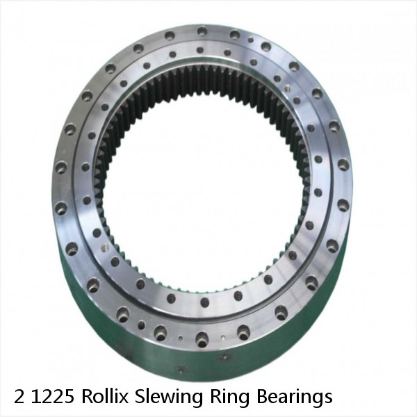 2 1225 Rollix Slewing Ring Bearings