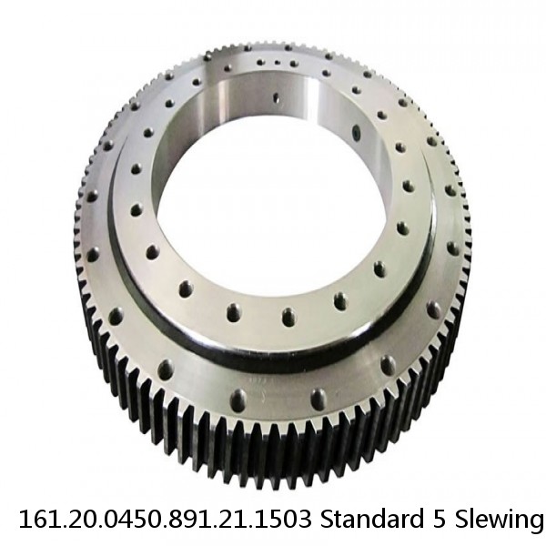 161.20.0450.891.21.1503 Standard 5 Slewing Ring Bearings