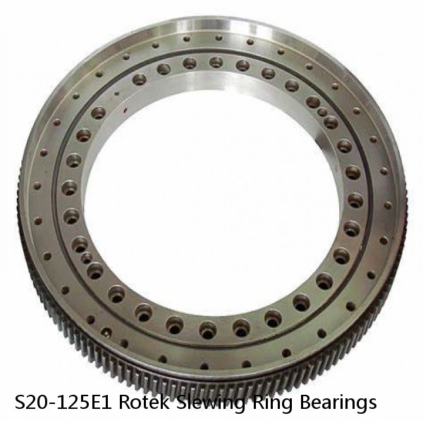 S20-125E1 Rotek Slewing Ring Bearings