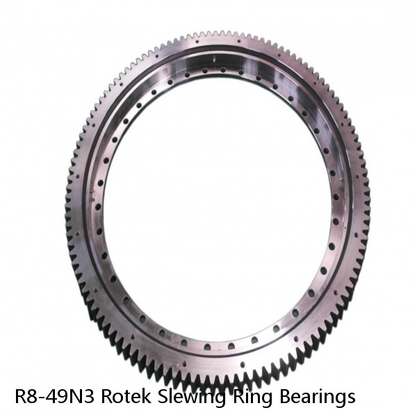 R8-49N3 Rotek Slewing Ring Bearings