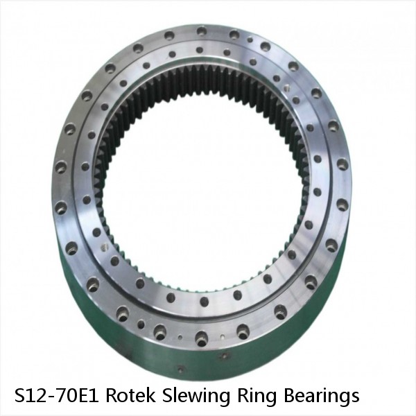 S12-70E1 Rotek Slewing Ring Bearings