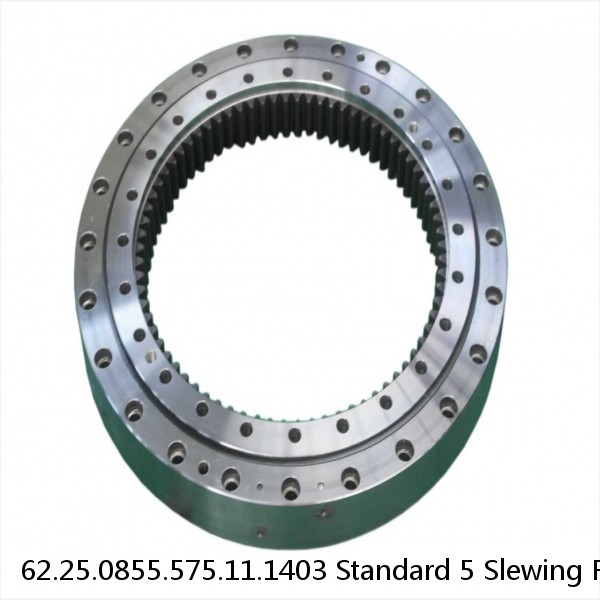 62.25.0855.575.11.1403 Standard 5 Slewing Ring Bearings