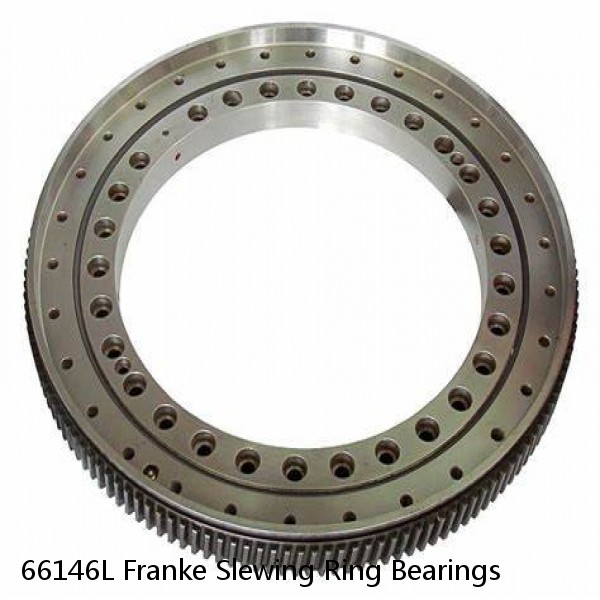 66146L Franke Slewing Ring Bearings