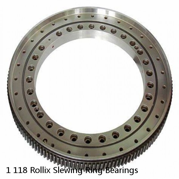 1 118 Rollix Slewing Ring Bearings