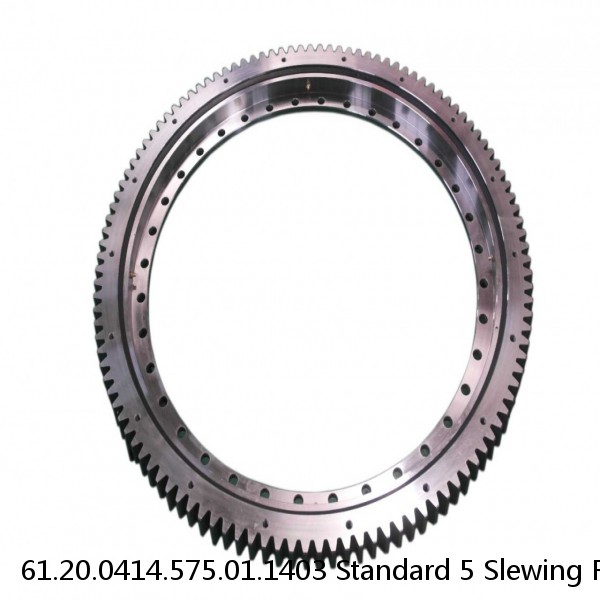 61.20.0414.575.01.1403 Standard 5 Slewing Ring Bearings