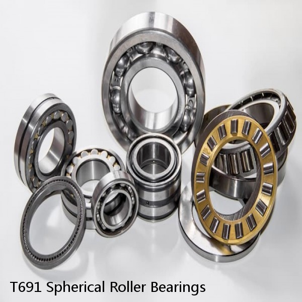 T691 Spherical Roller Bearings