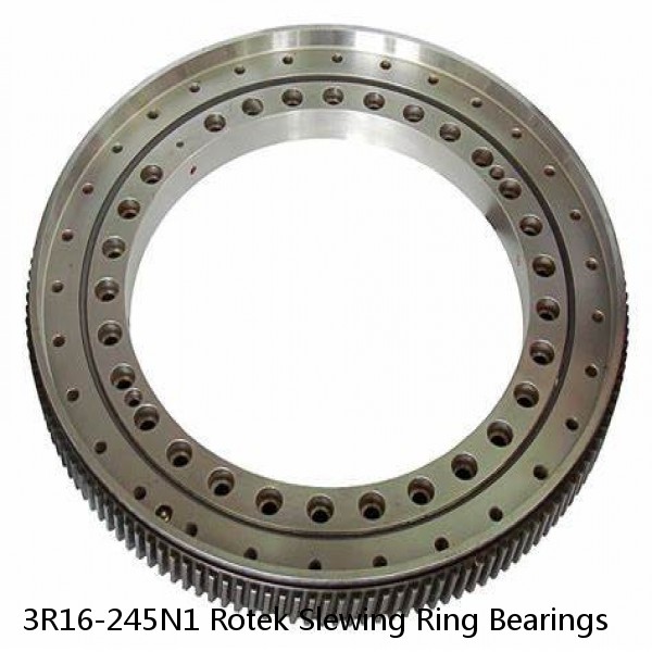 3R16-245N1 Rotek Slewing Ring Bearings