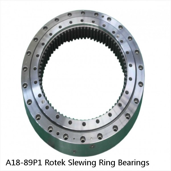 A18-89P1 Rotek Slewing Ring Bearings