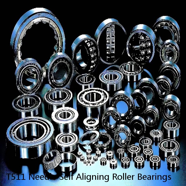 T511 Needle Self Aligning Roller Bearings