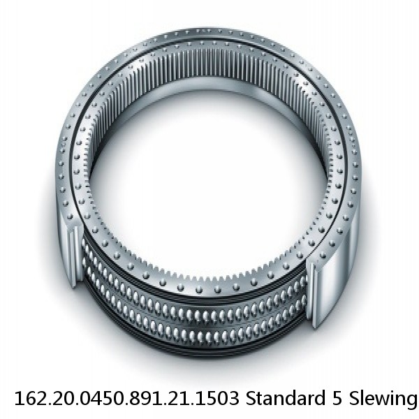 162.20.0450.891.21.1503 Standard 5 Slewing Ring Bearings