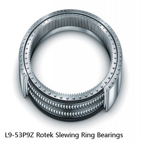 L9-53P9Z Rotek Slewing Ring Bearings