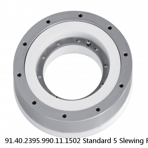 91.40.2395.990.11.1502 Standard 5 Slewing Ring Bearings