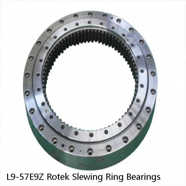 L9-57E9Z Rotek Slewing Ring Bearings