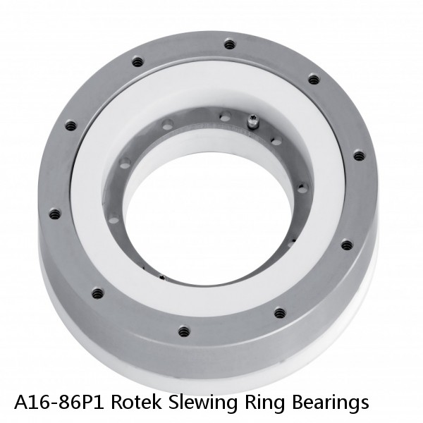 A16-86P1 Rotek Slewing Ring Bearings