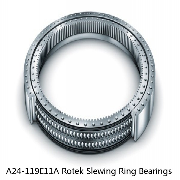 A24-119E11A Rotek Slewing Ring Bearings