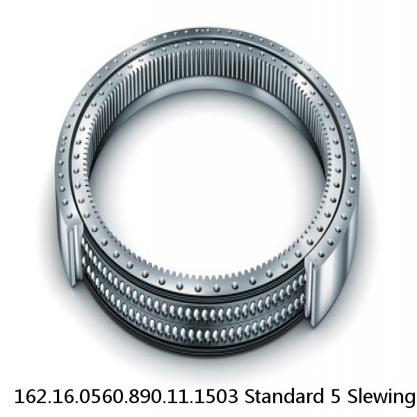 162.16.0560.890.11.1503 Standard 5 Slewing Ring Bearings