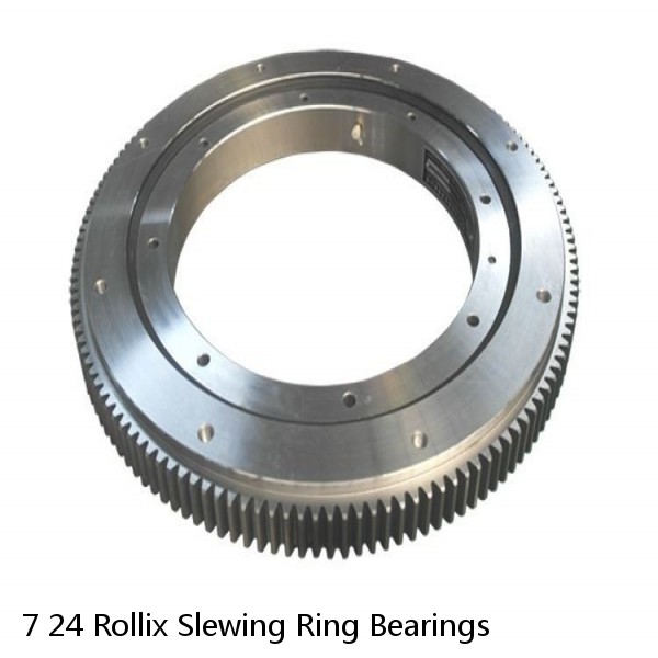 7 24 Rollix Slewing Ring Bearings