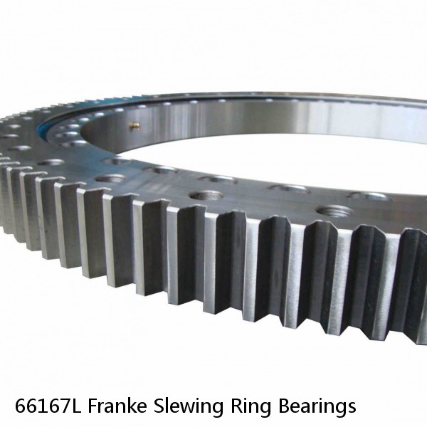 66167L Franke Slewing Ring Bearings