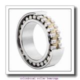 2.186 Inch | 55.519 Millimeter x 3.346 Inch | 85 Millimeter x 0.748 Inch | 19 Millimeter  NTN M1209TV  Cylindrical Roller Bearings