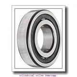 3.74 Inch | 95 Millimeter x 5.984 Inch | 152 Millimeter x 2.244 Inch | 57 Millimeter  ROLLWAY BEARING E-5019-U-103  Cylindrical Roller Bearings