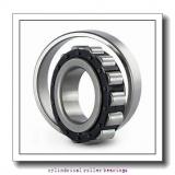 5.512 Inch | 140 Millimeter x 9.843 Inch | 250 Millimeter x 1.654 Inch | 42 Millimeter  ROLLWAY BEARING U-1228-EMR  Cylindrical Roller Bearings