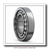 FAG 1306-TVH-C3  Self Aligning Ball Bearings