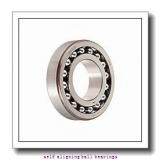 FAG 1317-M-C3  Self Aligning Ball Bearings